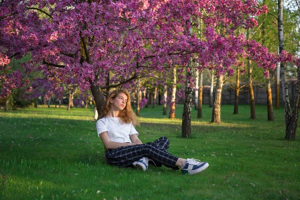 Mooie Jonge Vrouw Buurt Van Grote Bloeiende Roze Lenteboom Zit — Stockfoto