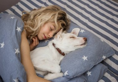 Beyaz, şirin bir köpek yavrusu ve genç bir kız yastığa uzanmış, battaniyeyle kaplanmış, keyifli bir anın tadını çıkarıyorlar. Günaydın, pozitif, rahat. Evcil hayvanların tatlı hayatı