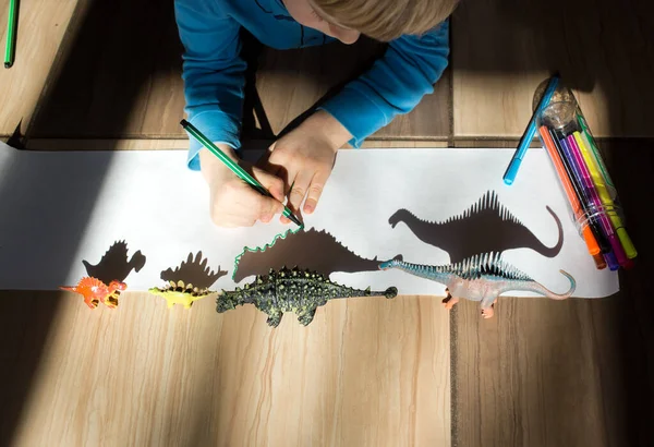 child concentrates on the contour of the shadows from the figures of toy dinosaurs, ideas for children\'s creativity, the development of fine motor skills. Games of light and shadow. Selective focus