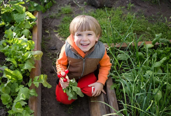 Fröhliche Niedliche Kleinkind Junge Hellen Kleidern Sitzt Zwischen Den Beeten — Stockfoto