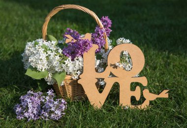 Yeşil çimenlikte bir hasır sepet var. İçinde beyaz ve mor renkte birçok çiçek açan leylak var. Büyük bej kelimenin yanında aşk. Sevgiyle dolu tebrik kartı. Romantik bir sürpriz. Tatil dekorasyonu