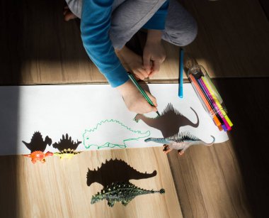 child outlines the shadows from the figures of toy dinosaurs, the ideas of children's creativity, the development of fine motor skills along the contour. Games of light and shadow. Selective focus clipart