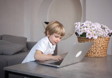 4-5 yaşındaki meraklı çocuk odadaki dizüstü bilgisayarın klavyesinde çalıyor. Uzaklık öğrenimi, ev ofisi, anaokulu öğrencileri için eğitici dijital oyunlar, çevrimiçi iletişim