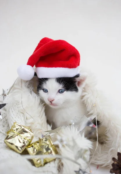 Schattig Zwart Wit Kitten Santa Hoed Een Lichte Achtergrond Voorbereiding — Stockfoto