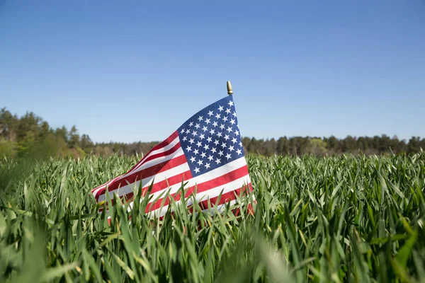 Bandera Americana Sobre Hierba Verde Día Independencia Los Estados Unidos — Foto de Stock