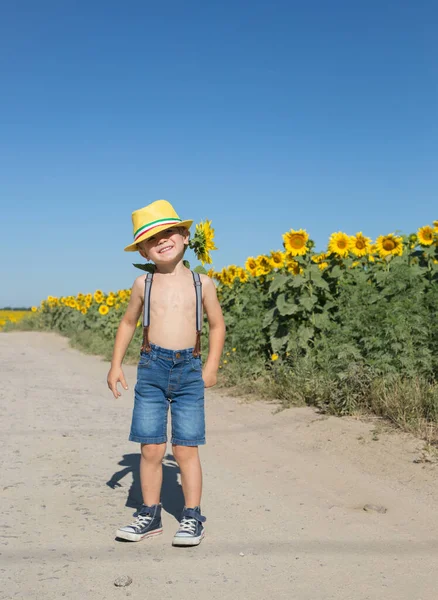 Soleado Día Verano Campo Girasoles Florecientes Fondo Las Flores Divertido — Foto de Stock