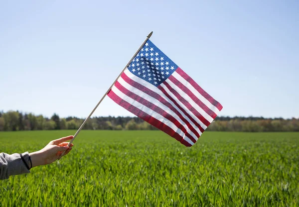 Bandera Americana Mano Sobre Fondo Campo Verde Día Independencia Los — Foto de Stock