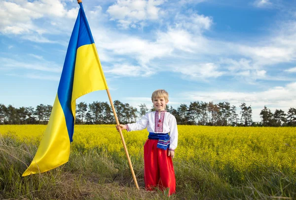 黄色の民族ウクライナの服で5歳の笑顔 菜の花畑の開花を背景に手に青の大きな旗 愛国教育 ウクライナの国の象徴 — ストック写真