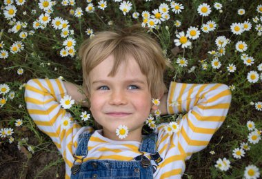 Papatya tarlasında yatan sevimli, gülümseyen bir çocuğun portresi. Yaz havası, çocukluk hayalleri, kaygısız neşeli çocukluk.