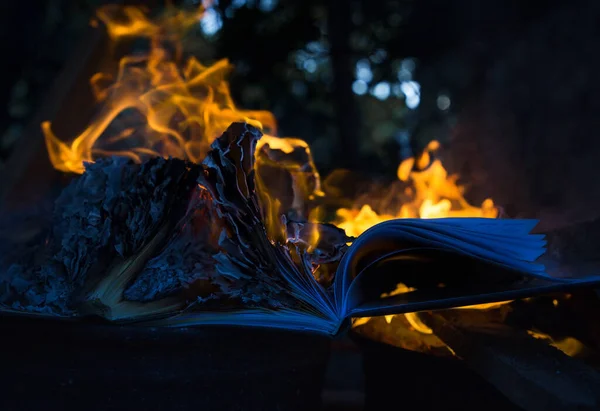Feu Dans Lequel Brûle Livre Cahier Tristesse Nostalgie Souvenirs Brûlants — Photo