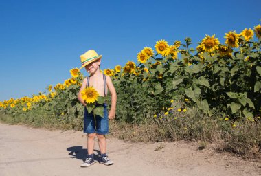 Güneşli yaz gününde, 4-5 yaşlarında sarı şapkalı ve şortlu, elinde ayçiçeği olan tatlı bir çocuk çiçek tarlasının yanında duruyor. İnsanlığın ve doğanın güzelliği ve ahengi. Mutlu çocukluk