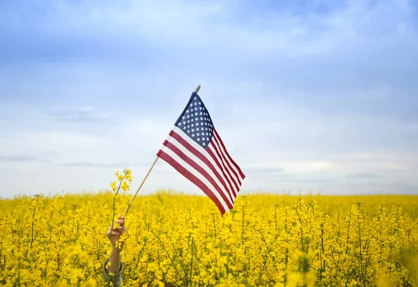 Американський Прапор Серед Квітучого Жовтого Поля Ріпаками Гордість Патріотизм День — стокове фото