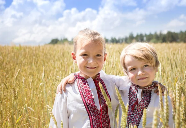 Два Щасливі Усміхнені Хлопці Національних Українських Сорочках Стоять Пліч Пліч — стокове фото