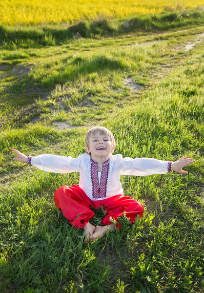 Милый Веселый Мальчик Лет Национальной Украинской Одежде Вышитой Рубашке Красных — стоковое фото