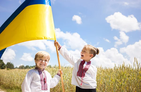 Dos Niños Sonrientes Emocionalmente Felices Con Camisas Ucranianas Nacionales Sostienen — Foto de Stock