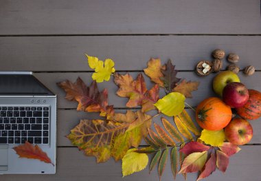 Dizüstü bilgisayar klavyesi, gri bir masadaki parlak sonbahar yaprakları koleksiyonunun yanında. Evden çalışmak, uzaktan öğrenmek, serbest çalışmak, online hayat. Sonbahar atmosferi. Düz yatıyordu. Boşluğu kopyala