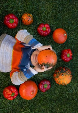 Tanımlanamayan çocuk çimenlerin üzerinde uzanmış, balkabağını suratının önünde tutuyor. Etrafına dolgu biber ve balkabağı serpilmiş. Sonbahar havası. Hasat. Lezzetli vitamin sebzeleri. Cadılar Bayramı için hazırlanılıyor