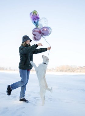 Beyaz köpeğiyle eğitim komutları veren genç bir kadının tam boy portresi. Kışın karda yürür. Dört bacaklı bir arkadaşla iletişim kurmanın mutluluğu, sevgili evcil hayvan.
