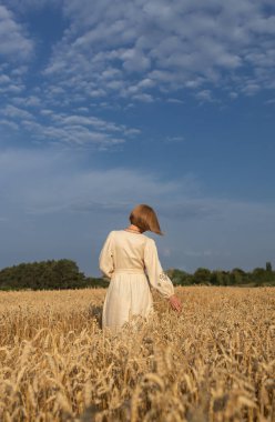Hafif elbiseli tanınmayan bir kadın altın buğday tarlasında yürür, buğdayın altın kulaklarından, manzaradan ve iyi bir hasattan zevk alır.