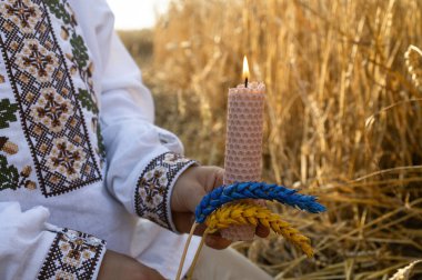 mum, sarı mavi buğday kulakları, Ukrayna işlemeli gömlek giyen bir çocuğun elinde buğday tarlasında duruyor. Kavramsal fotoğraf, Ukrayna 'daki holodomorun anısına. Soykırım Anma Günü.