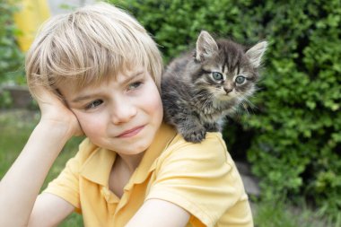 Omzunda küçük, gri, tekir bir kedi yavrusu olan bir çocuğun yüzü. Kedi Günün kutlu olsun. Tüylü bir evcil hayvanla mutlu bir çocukluk. Nazik, pozitif bir atmosfer.