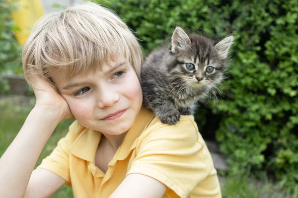 Omzunda küçük, gri, tekir bir kedi yavrusu olan bir çocuğun yüzü. Kedi Günün kutlu olsun. Tüylü bir evcil hayvanla mutlu bir çocukluk. Nazik, pozitif bir atmosfer.