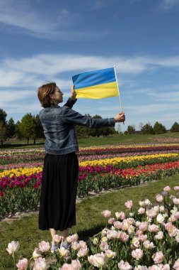 Parkta çiçek açan laleleri olan sarı ve mavi Ukrayna bayrağı olan bir kadın. Ulusal kimlik, zafere olan inanç, ülkenin bir sembolü. Bayrak Günü. Yaşasın Ukrayna!.