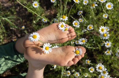 Çiçek açan papatyaların arasında orman zemininde yatan bir çocuğun çıplak ayakları. Neşeli, neşeli, pozitif ol, mutlu çocukluk. Merhaba yaz, doğanın enerjisi. Dünya Günü