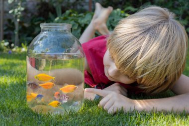 Oğlan bir yaz günü çimenlerin üzerinde uzanıyor, açık bir kavanozdaki bir sürü balığı izliyor. Bir akvaryum alımı, çocuk balıkların dünyasından büyülenir..