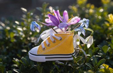 Güneşli bir günde küçük bir buket bahar çiçeğiyle küçük sarı bir spor ayakkabı. Merhaba bahar. Güzel bir tatil kartı. Çiçekli bir sürpriz. İyi günler.
