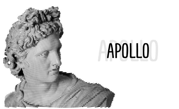 Apollo head antique sculpture engraving sketch