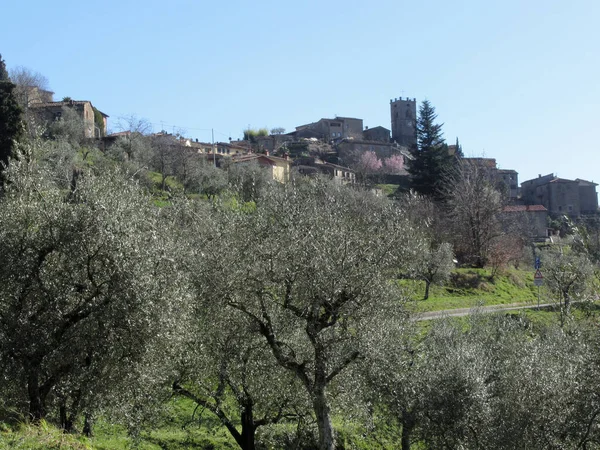 Panorama Del Paese Sorana Provincia Pistoia Toscana Italia — Foto Stock
