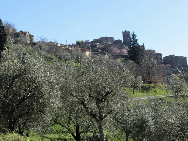 Panorama Över Byn Sorana Provinsen Pistoia Toscana Italien — Stockfoto