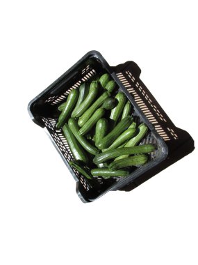 Kabak kutusunda beyaz arka plan üzerinde