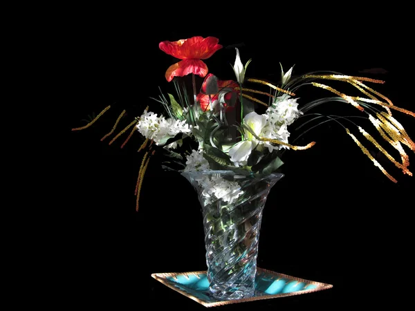 Compoziția florilor pe fundal negru — Fotografie, imagine de stoc
