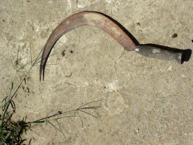 eski paslı Orak