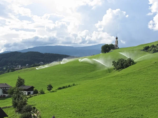 Ridge on alpine pasture with grass sprinklers — Stock Photo, Image