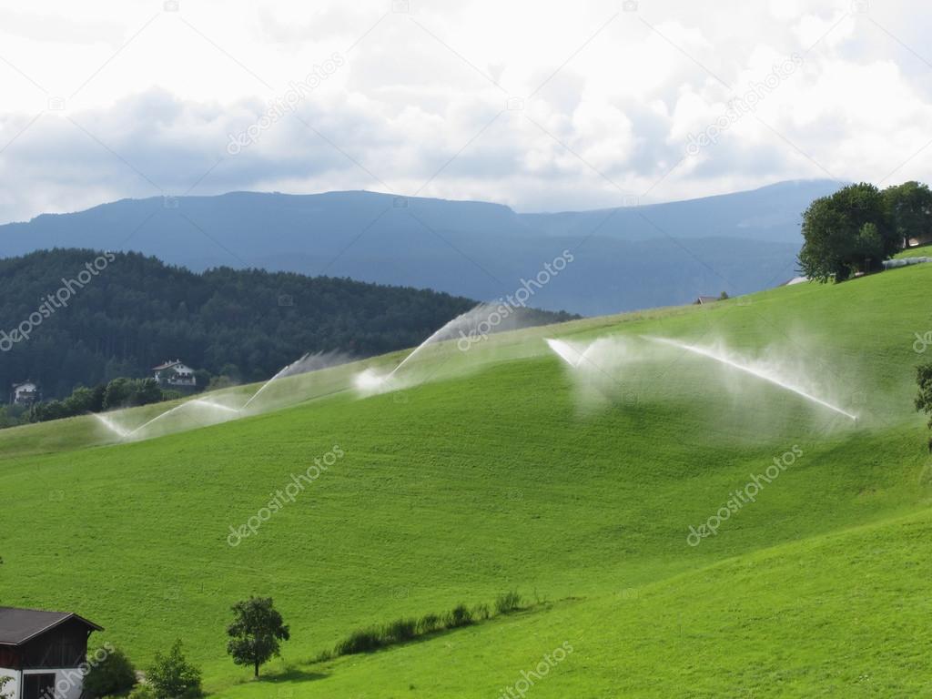 Ridge on alpine pasture with grass sprinklers