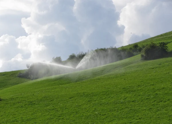 Grat auf Alm mit Grasstreuern — Stockfoto