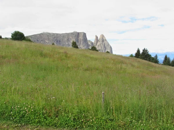 Panoramic mountain view — Stock Photo, Image