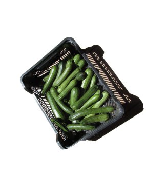 Kabak kutusunda beyaz arka plan üzerinde