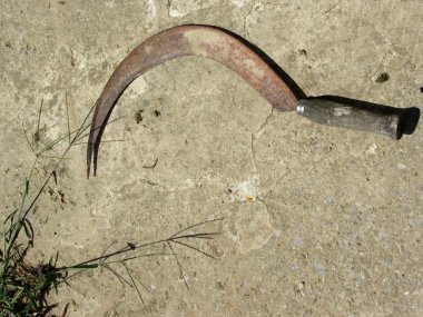 eski paslı Orak