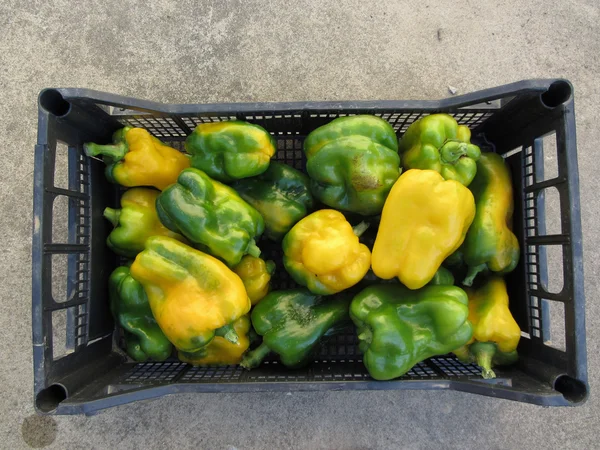 Green and yellow peppers in box — Stock Photo, Image