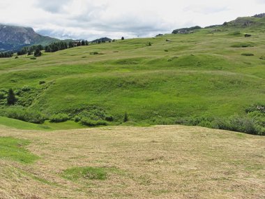 Panoramik dağ görünümü