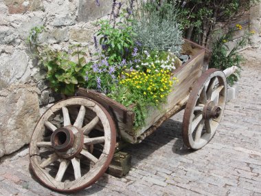 Kır çiçekleri ve otlar ile Vintage Bahçe barrow. Bes allo Scilliar, South Tyrol, İtalya