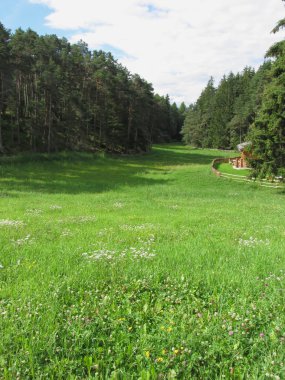 Yeşil çayır ön plan ve arka planda gökyüzü ile orman, alp yatay. Ayrıca sağ tarafta küçük bir ahşap evin olduğunu