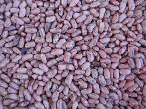 Fond texture haricot rouge. Les haricots sont cultivés avec l'agriculture biologique en Toscane, Italie — Photo