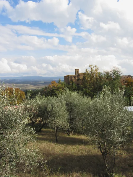 Vista panorâmica da paisagem típica da Toscana — Fotografia de Stock