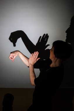 Beyaz perdeye yansıtılan gölge oyunu. Bir çeşit kuğu ya da ördek yaratıyor..