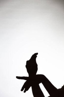 Beyaz ekrana yansıtılan gölgeyi oynat. Bir insanın elleri güvercine benzer.